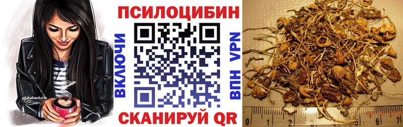 Галлюциногенные грибы Cubensis  Новая Усмань 